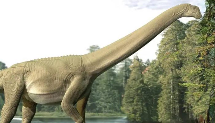 1406-fossil-layout_site.jpg