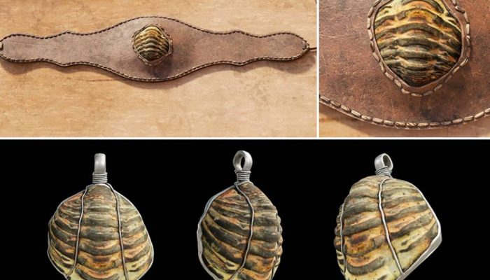 2507-Fossil-layout_site.jpg