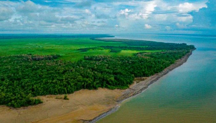 2908-Amazonia-layout_site.jpg