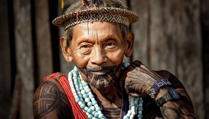 3006-indigenas-layout_site.jpg