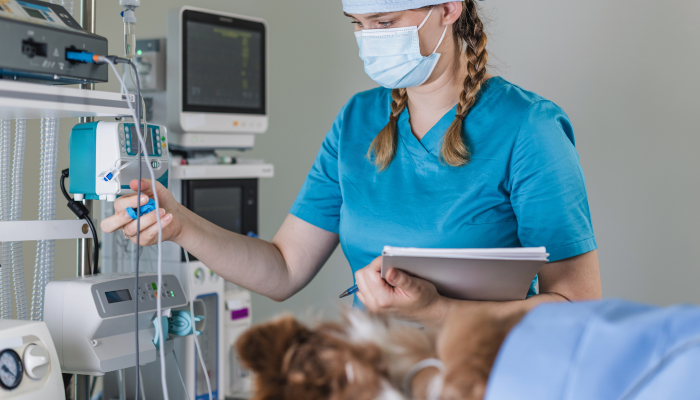 Setor-pet-defende-ANS-Veterinaria-para-regular-planos-de-saude-animal.png