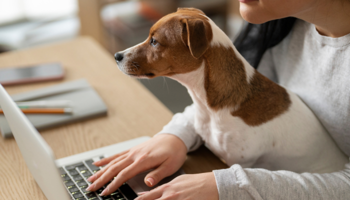 Transforme-dados-em-lucro-O-poder-do-CRM-na-sua-clinica-veterinaria.png
