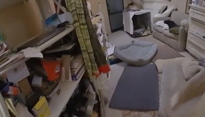 casa-gene.png