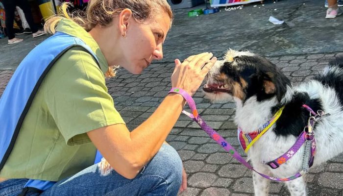 feira-de-adocao-agita-shopping-do-litoral-de-sp-com-pets-e-atracoes.jpg
