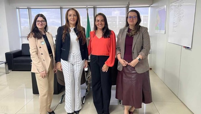 hospitalar-df-ses-reuniao-saude.jpg