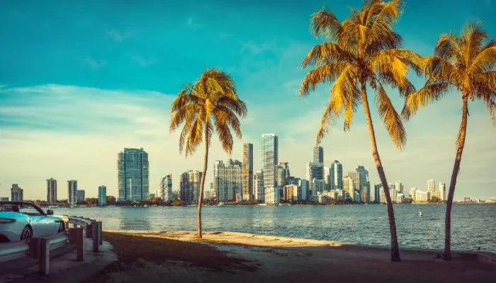 miamiartigo.webp.webp