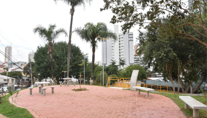 praca-chico-xavier-4.png