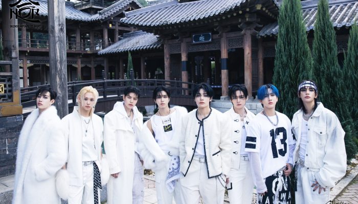 stray-kids-concept-3.jpg
