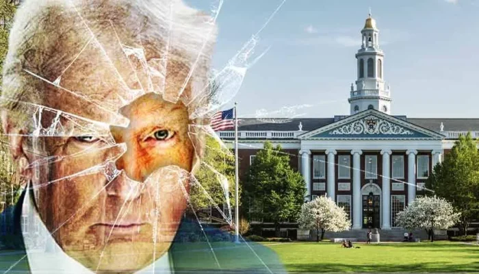 trump-harvard.webp.webp